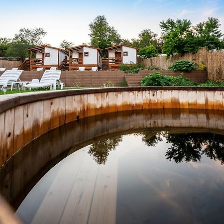 Flori Haus Saschiz Hotel Kültér fotó