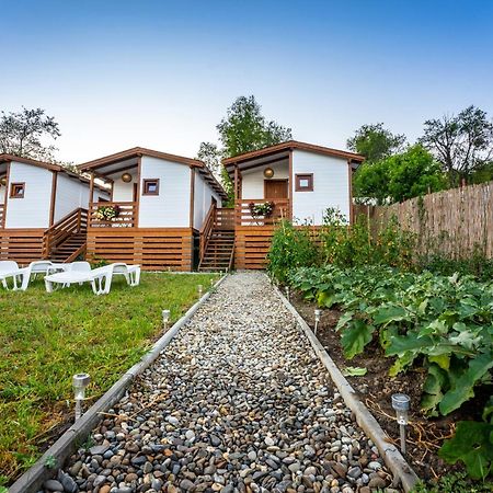 Flori Haus Saschiz Hotel Kültér fotó