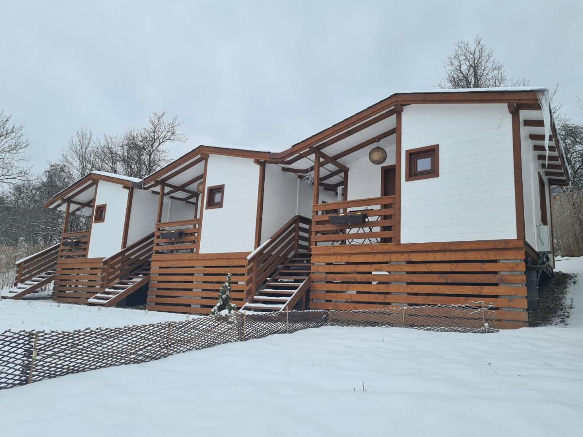 Flori Haus Saschiz Hotel Kültér fotó