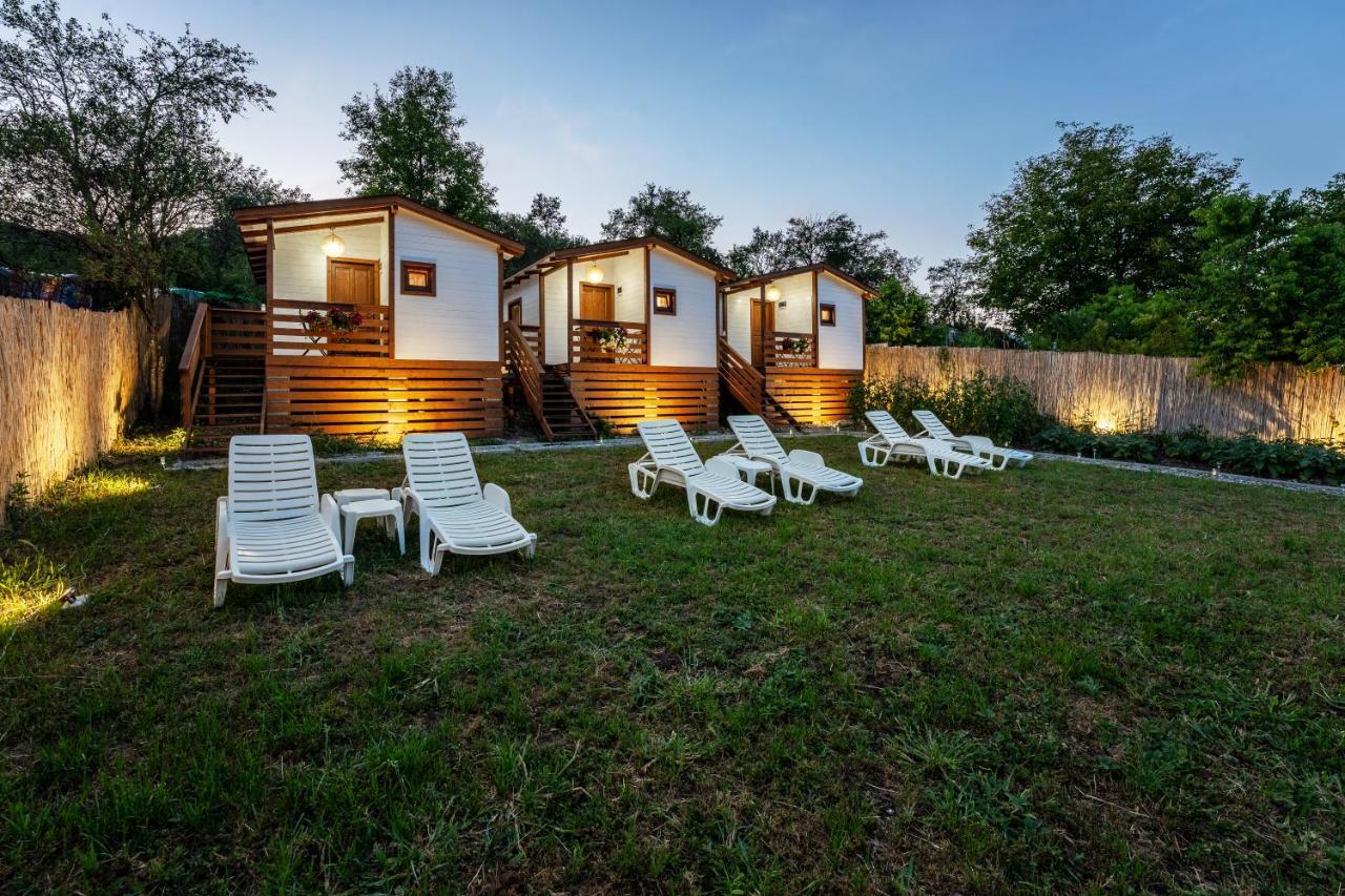 Flori Haus Saschiz Hotel Kültér fotó